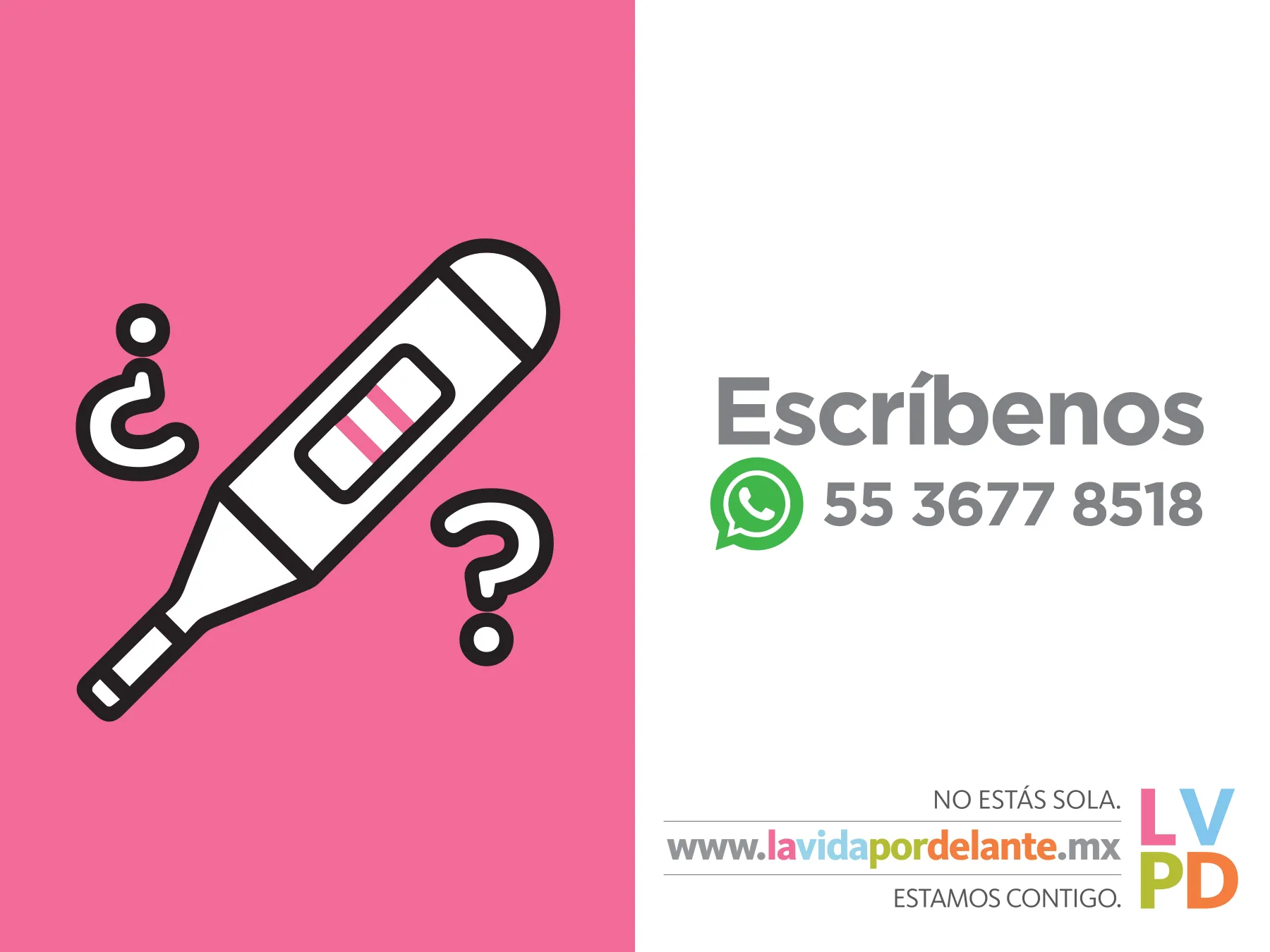 La Vida Por Delante · México — pieza 15